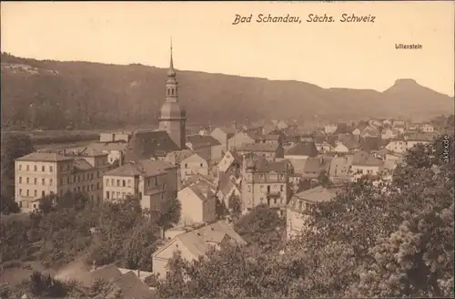 Ansichtskarte Bad Schandau Panorama-Ansicht 1918