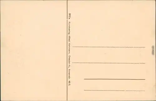 Ansichtskarte Bad Schandau Panorama-Ansicht 1918