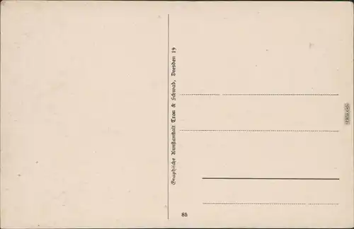 Ansichtskarte Rathen Panorama-Ansicht Basteifelsen 1918