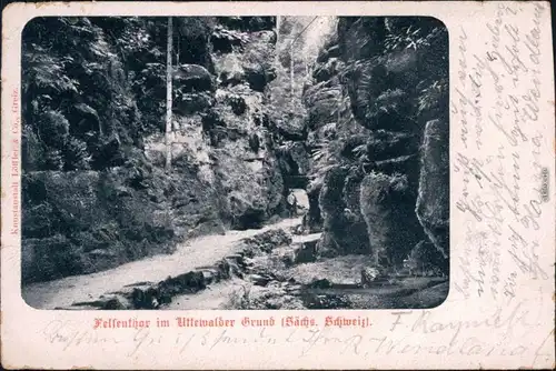 Ansichtskarte Wehlen Partie im Uttewalder Grund Sächsische Schweiz 1900
