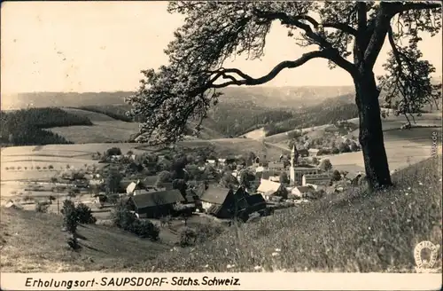 Ansichtskarte Saupsdorf-Kirnitzschtal Panoramablick über den Ort 1961
