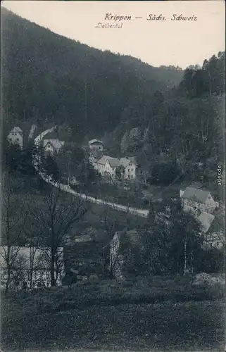 Ansichtskarte Krippen-Bad Schandau Straße - Liethental 1914 