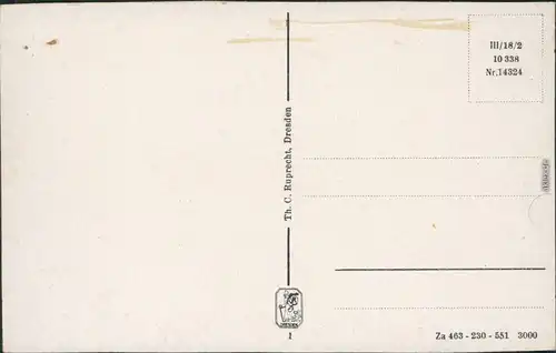 Ansichtskarte Wehlen Blick über die Stadt 1955 