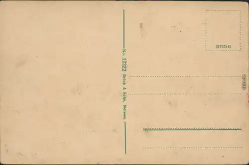 Ansichtskarte Pirna Parkpartie und Stadt 1918 