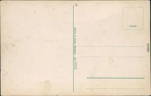 Ansichtskarte Ansichtskarte Pirna Blick vom Sonnenstein 1918 Brück & Sohn 