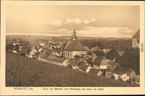 Ansichtskarte Rochlitz Stadt vom Weinberg aus 1922 