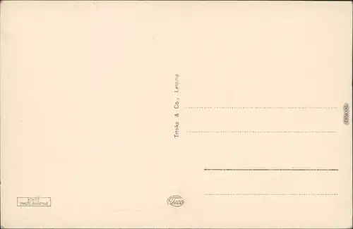 Ansichtskarte Eisenberg (Thüringen) Partie an der Robertsmühle 1930 