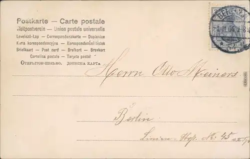 Ansichtskarte  Kleiner junge reitet auf Schwein - Neuahr - viel Glück 1904 