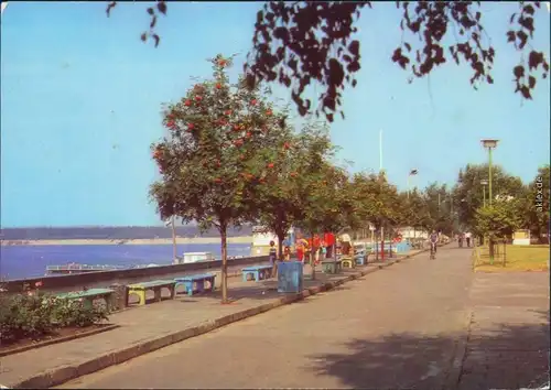 Ansichtskarte Lossow Frankfurt (Oder) Strandpromenade Ansichtskarte g1984