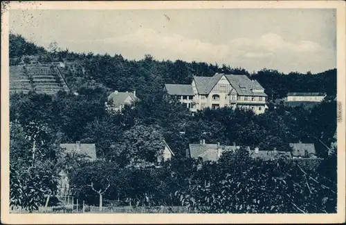 Ansichtskarte Hasserode-Wernigerode Genesungsheim Eichberg 1929 