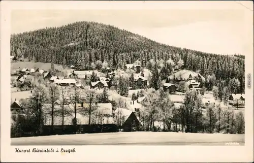 Ansichtskarte Bärenfels-Altenberg (Erzgebirge) Panorama-Ansicht 1955