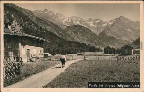 Ansichtskarte Birgsau-Oberstdorf (Allgäu) Partie auf der Alm 1930 