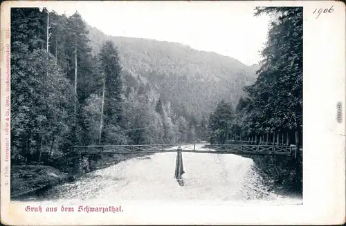 Ansichtskarte Schwarzburg Schwarzatal, Brücke, Fluss 1908 