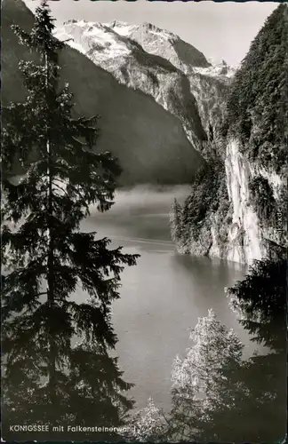 Ansichtskarte Schönau am Königssee Königssee mit Falkensteinerwand 1964