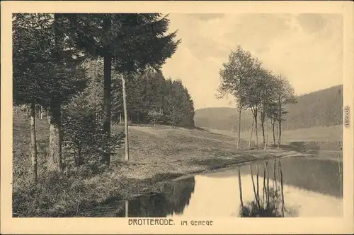 Ansichtskarte Brotterode Im Gehege 1928