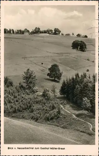 Ansichtskarte Nesselbach-Schmallenberg Gasthaus Müller-Braun 1960