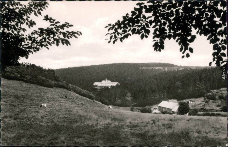 Ansichtskarte Hemer Haus Frönspert 1968 Nr. 81863 ...