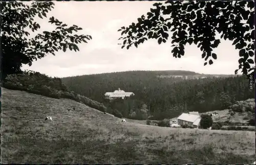 Ansichtskarte Hemer Haus Frönspert 1968