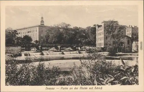 Ansichtskarte Dessau-Dessau-Roßlau Herzogliches Schloss an der Mulde 1966 