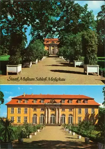 Ansichtskarte Dessau-Dessau-Roßlau Staatliches Museum Schloss Mosigkau g1975