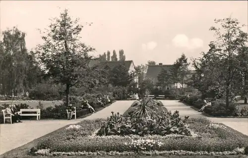 Ansichtskarte Bad Düben Kurpark mit Blumenbeeten 1970