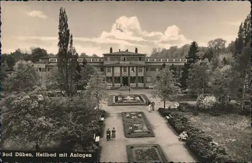 Ansichtskarte Bad Düben Heilbad mit Anlage 1962