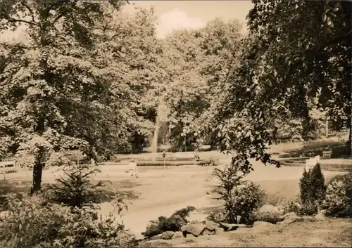 Ansichtskarte Bad Düben Kurpark mit Brunnen und Fontäne 1969