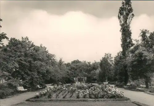 Ansichtskarte Bad Düben Kurpark des Heilbad (Eisen-Moorbad) 1969