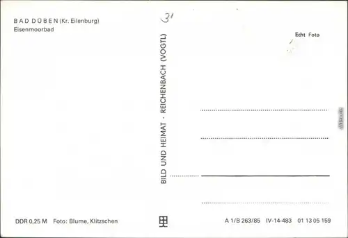 Ansichtskarte Bad Düben Heilbad (Eisen-Moorbad) 1985