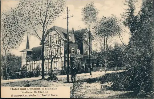 Ansichtskarte Benneckenstein Hotel und Pension Waldhaus 1914 