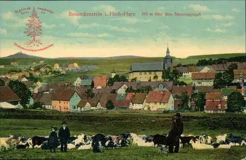 Ansichtskarte Benneckenstein Kuhherde und Hirten vor der Stadt 1914