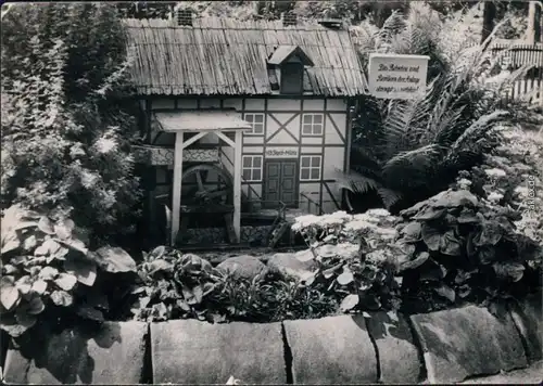 Ansichtskarte Lindau (Anhalt)-Zerbst DFGB Diät-Sanatorium - Parkmotiv 1961