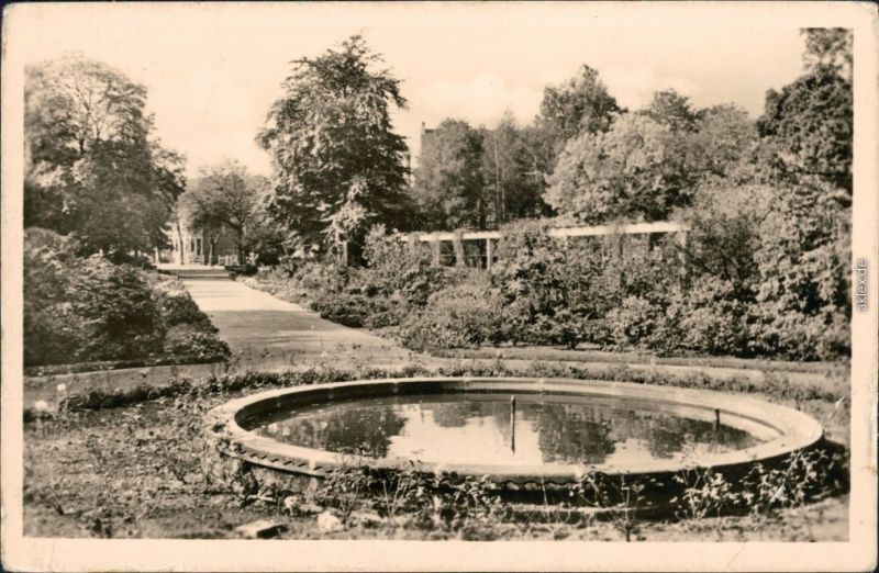 Ansichtskarte Zerbst Rephuns Garten Brunnen 1958 Nr 82250