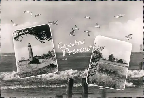 Ansichtskarte Prerow Ostseebad Prerow (Darß) 1965