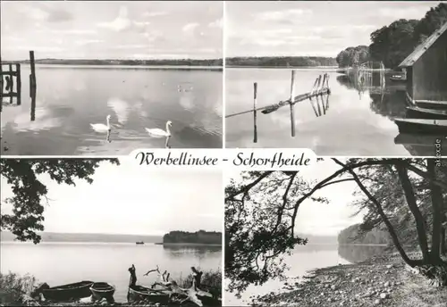 Ansichtskarte Schorfheide See mit Schwänen, Boote und Uferbereich 1981