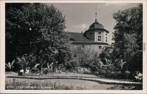 Ansichtskarte Zittau Stadtgärtnerei mit Blumenuhr 1955