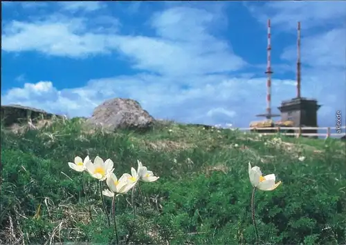 Ansichtskarte Ilsenburg (Harz) Wetterwarte (Brocken) 1992