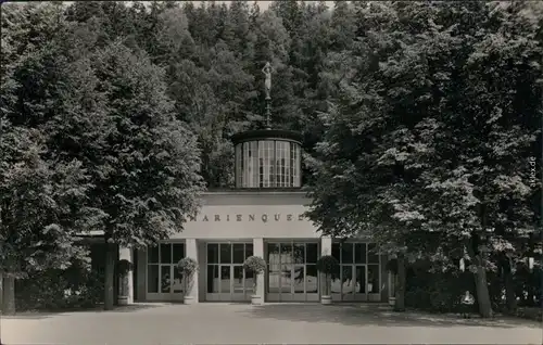 Ansichtskarte Bad Elster Marien- Albert und Königsquelle 1959