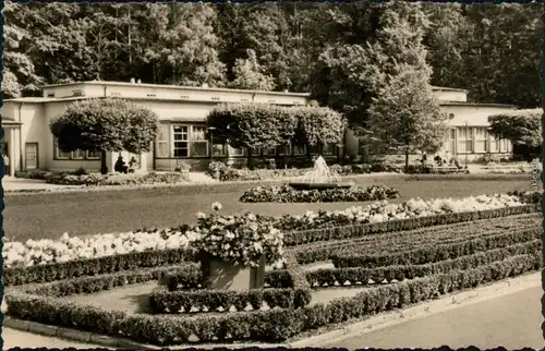 Ansichtskarte Bad Elster Am Bade Café mit Blumenbeeten 1971