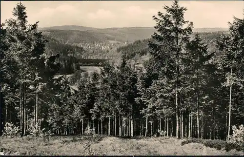 Ansichtskarte Bad Elster Panoramablick 1967