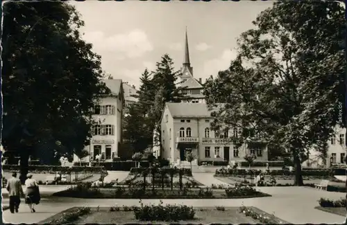 Ansichtskarte Bad Elster Rosengarten 1958