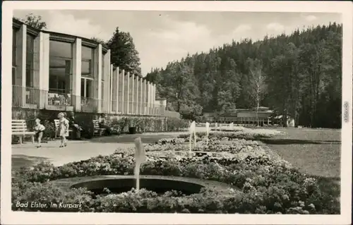 Ansichtskarte Bad Elster Parkanlagen/Kurpark mit Springbrunnen 1953