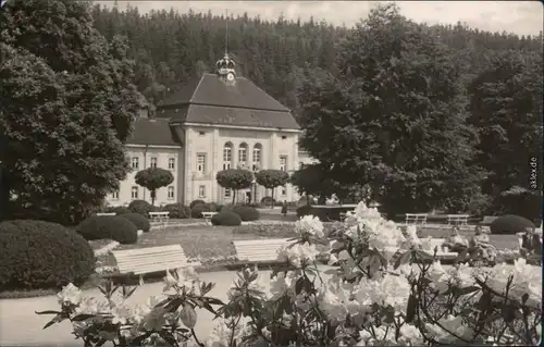 Ansichtskarte Bad Elster Badehaus mit Blumen im Vordergrund 1965