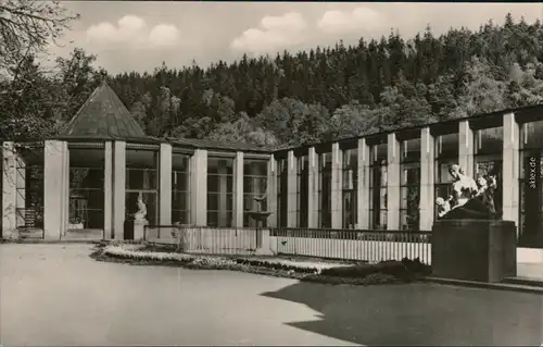 Ansichtskarte Bad Elster Moritzquelle und Wandelhalle 1956