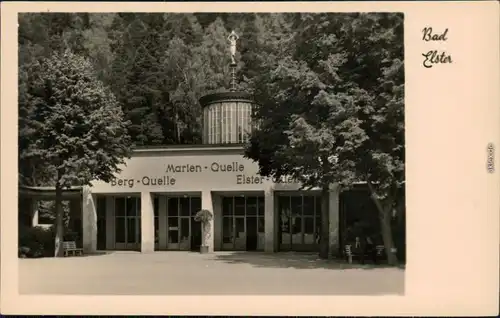 Ansichtskarte Bad Elster Marien-Quelle, Berg-Quelle, Elster-Quelle 1956