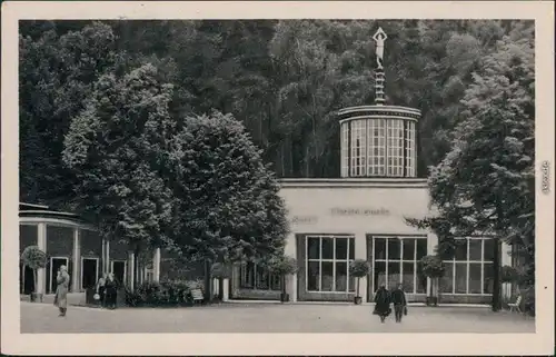 Ansichtskarte Bad Elster Marien- Albert und Königsquelle 1955