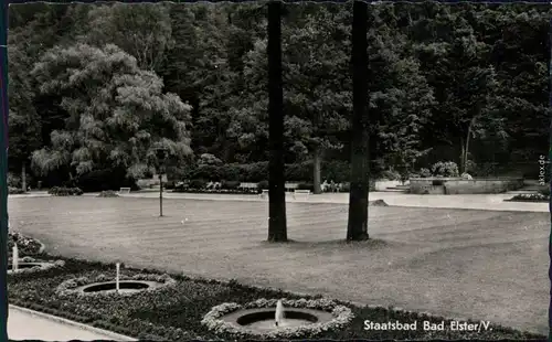 Ansichtskarte Bad Elster Parkanlagen/Kurpark 1958