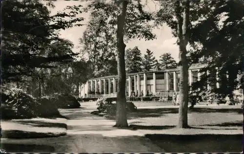 Ansichtskarte Bad Elster Parkanlagen/Kurpark 1957