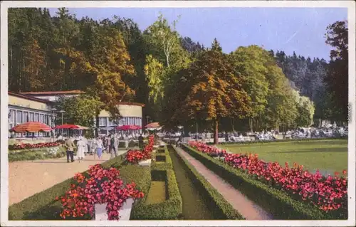 Ansichtskarte Bad Elster Badeplatz mit Blumenbeeten 1958