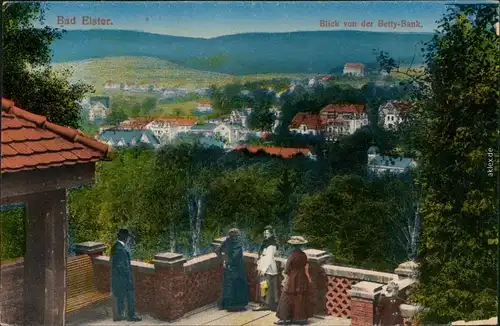 Ansichtskarte Bad Elster Panoramablick von der Betty-Bank 1915